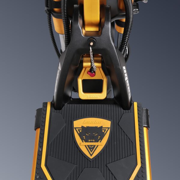Kaabo Wolf King Gtr Max Or